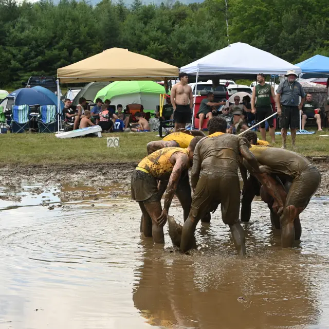 North Shore Mud Sharks photo 3